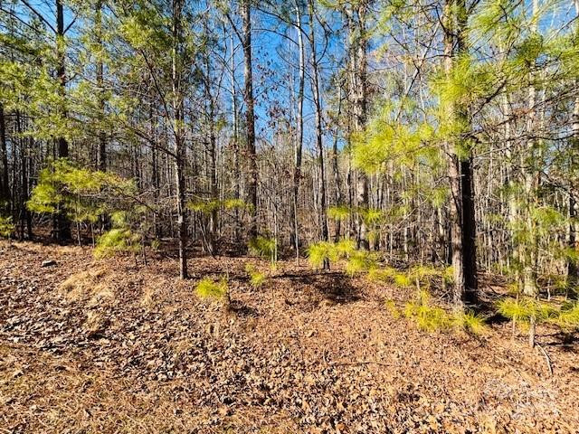 0 Creekside Circle #110 - Photo 3