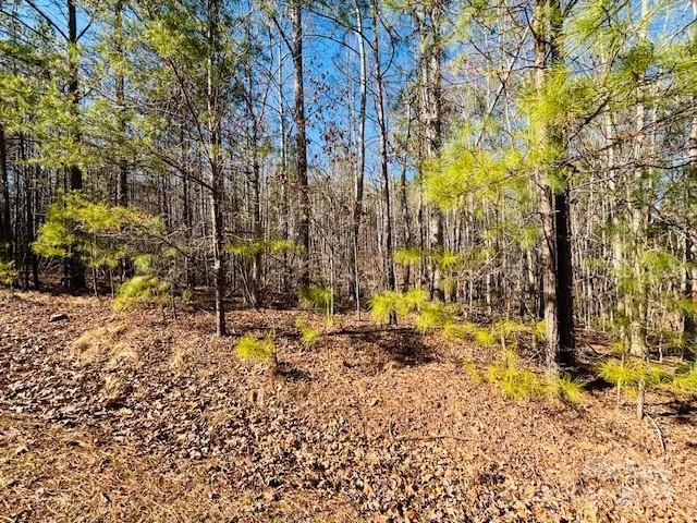 0 Creekside Circle #110 - Photo 3