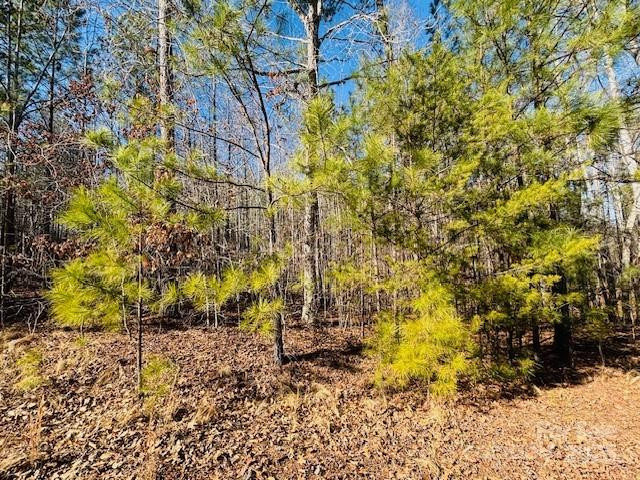 0 Creekside Circle #110 - Photo 4