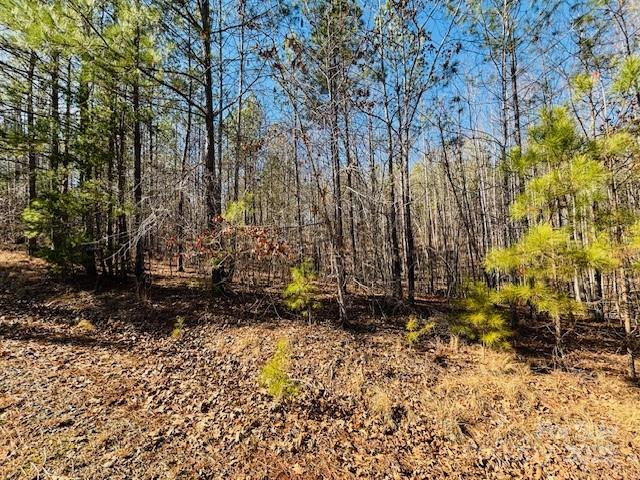 0 Creekside Circle #110 - Photo 5