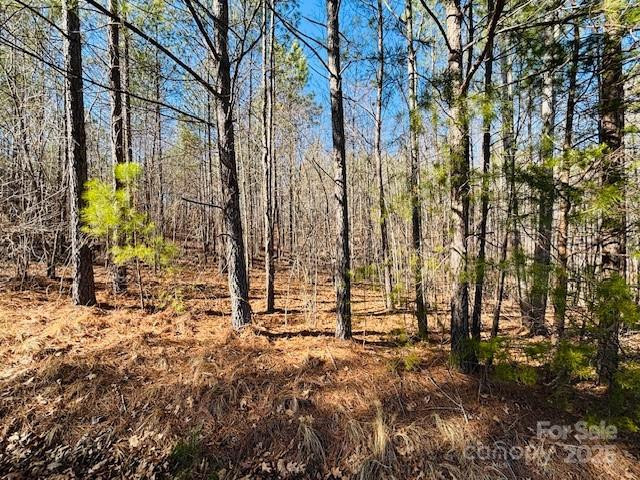 0 Creekside Circle #110 - Photo 6