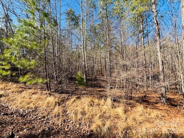 0 Creekside Circle #110 - Photo 7