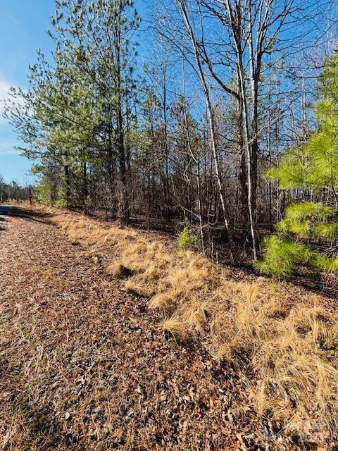 0 Creekside Circle #110 - Photo 8