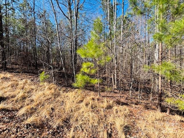 0 Creekside Circle #110 - Photo 9