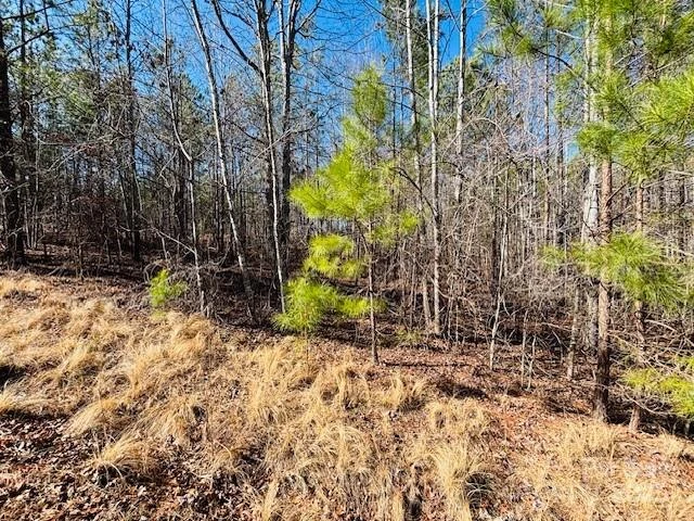 0 Creekside Circle #110 - Photo 9