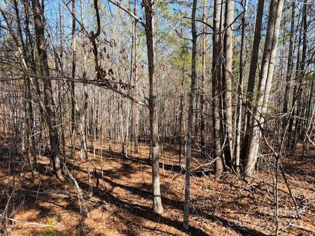 0 Creekside Circle #110 - Photo 10