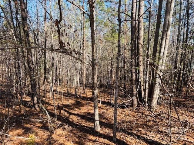 0 Creekside Circle #110 - Photo 10