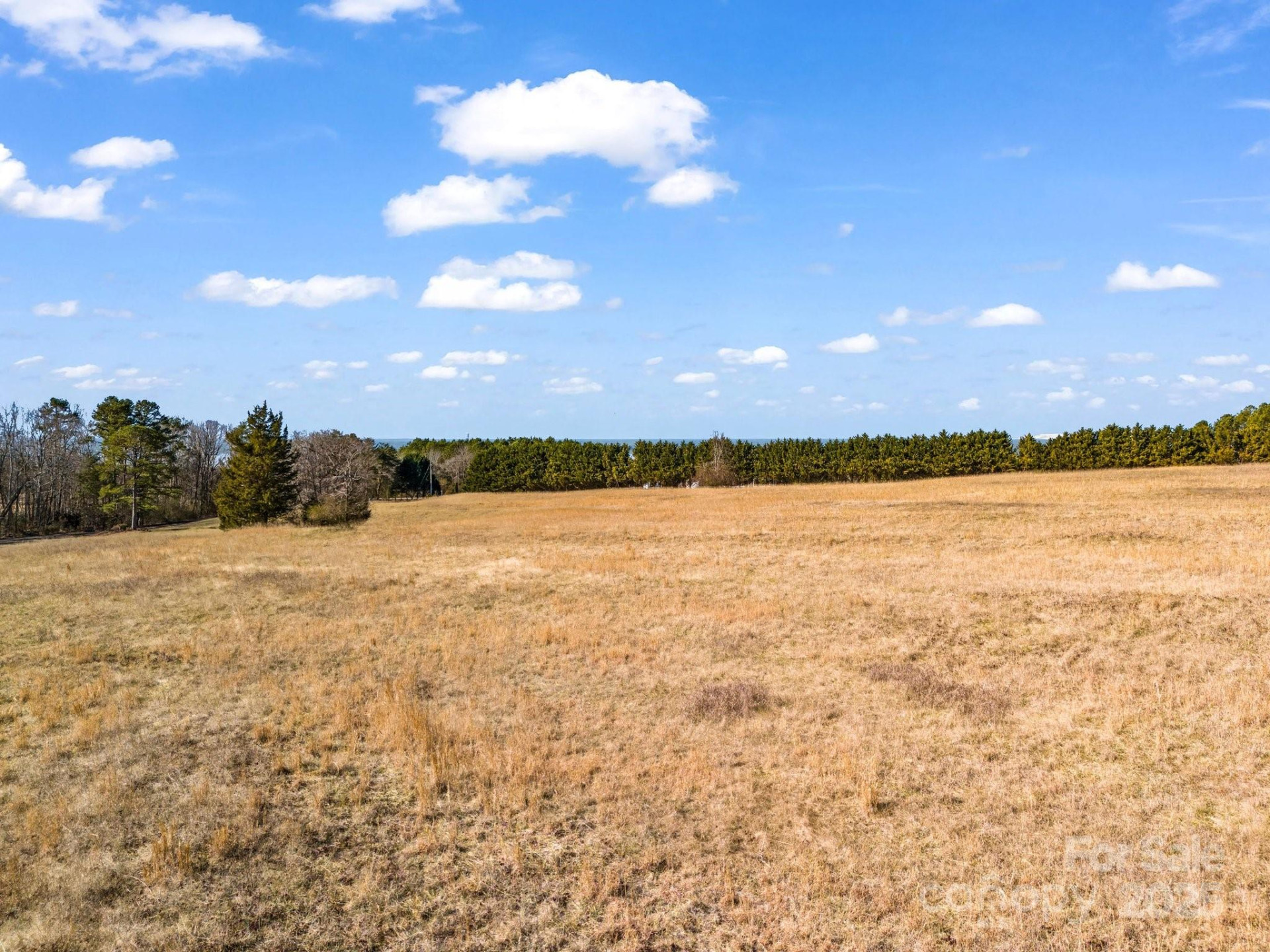 532 Harvey Logan Road - Photo 11