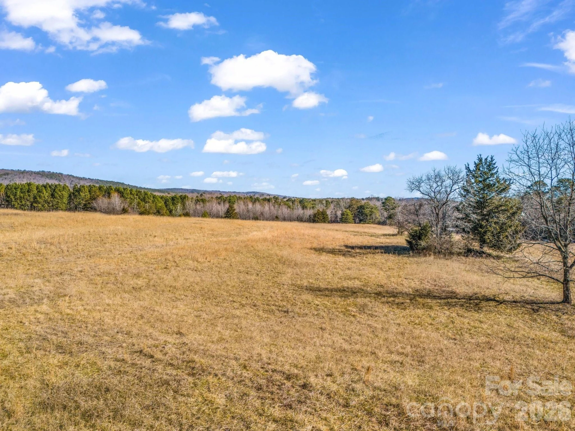 532 Harvey Logan Road - Photo 11