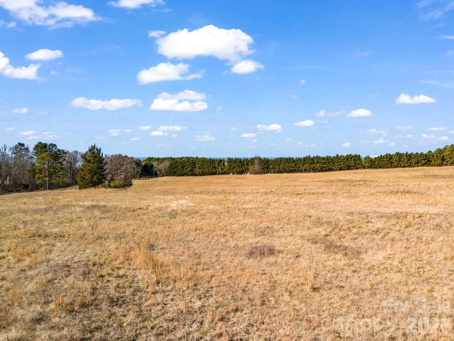 532 Harvey Logan Road - Photo 12