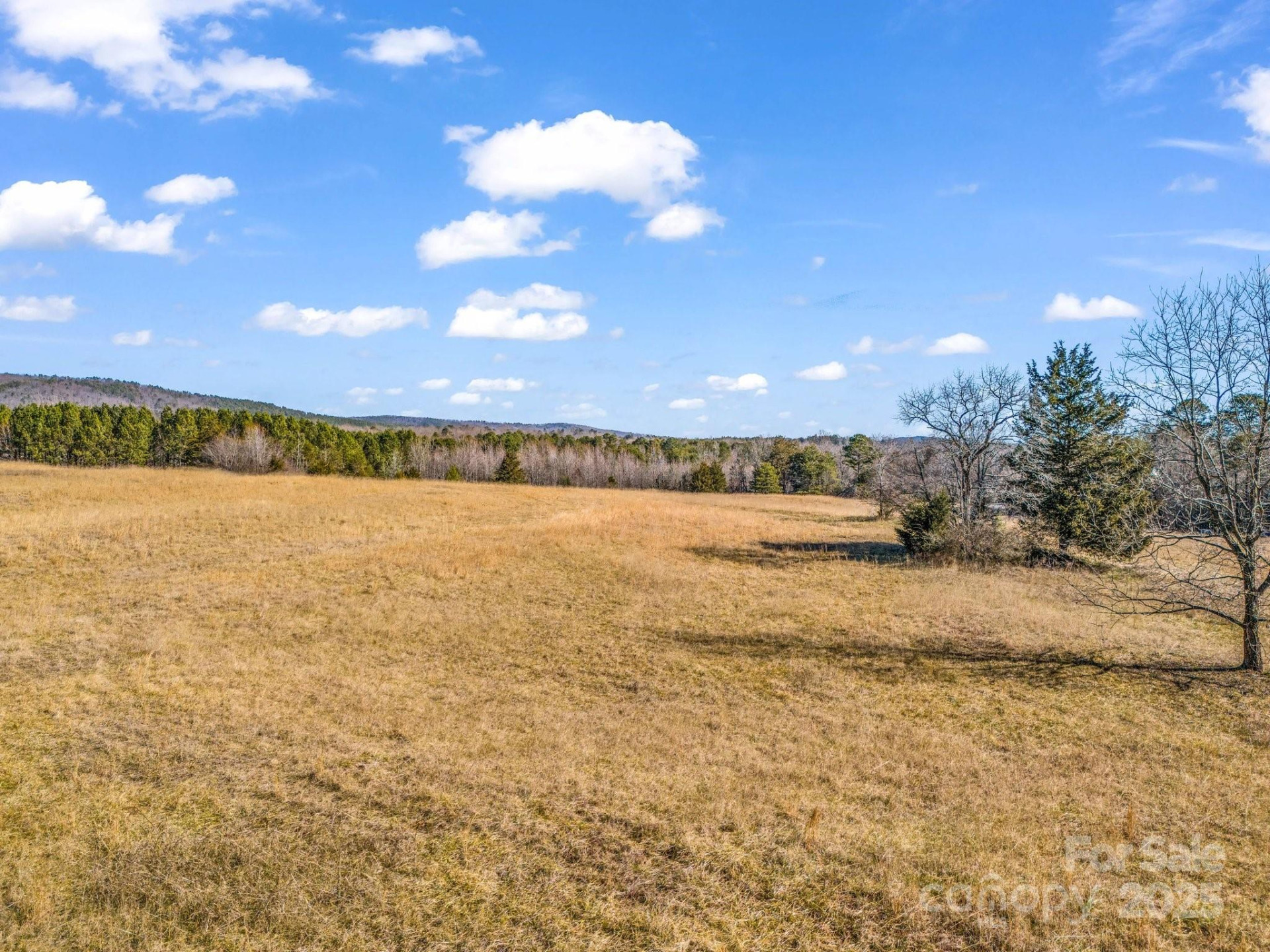 532 Harvey Logan Road - Photo 9