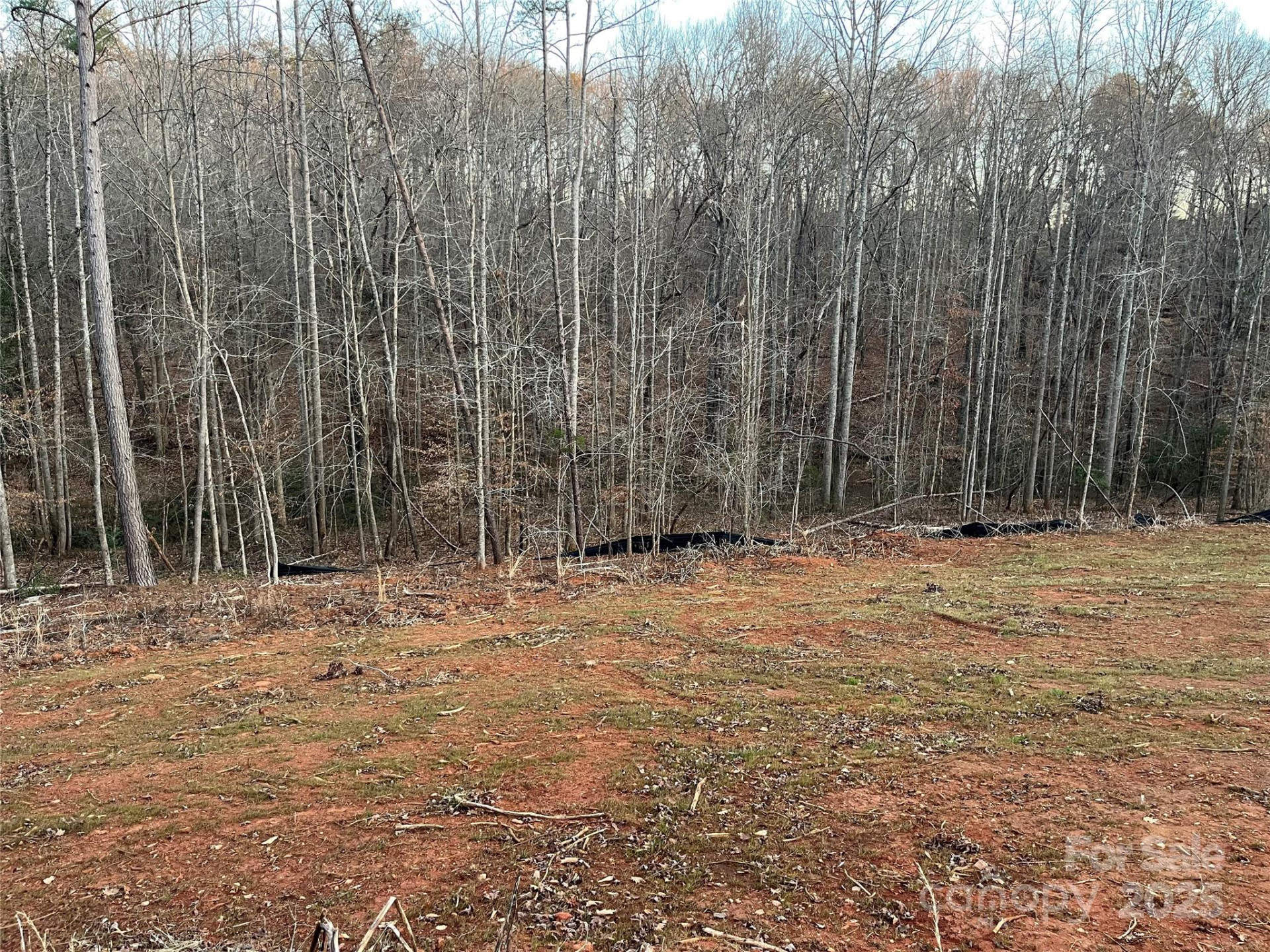 0 Chisholm Trail - Photo 3