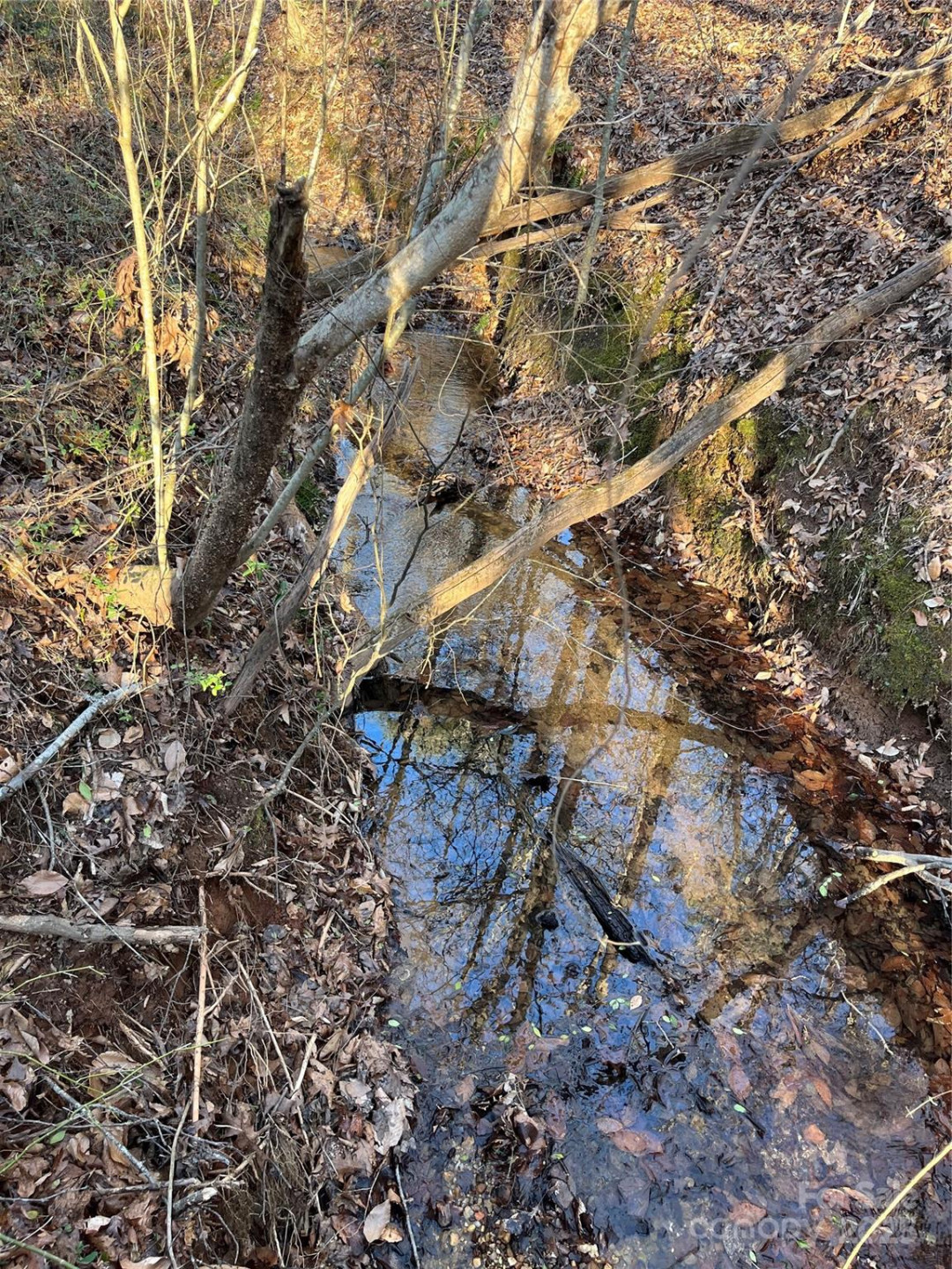 0 Chisholm Trail - Photo 4