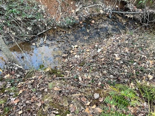 0 Chisholm Trail - Photo 5