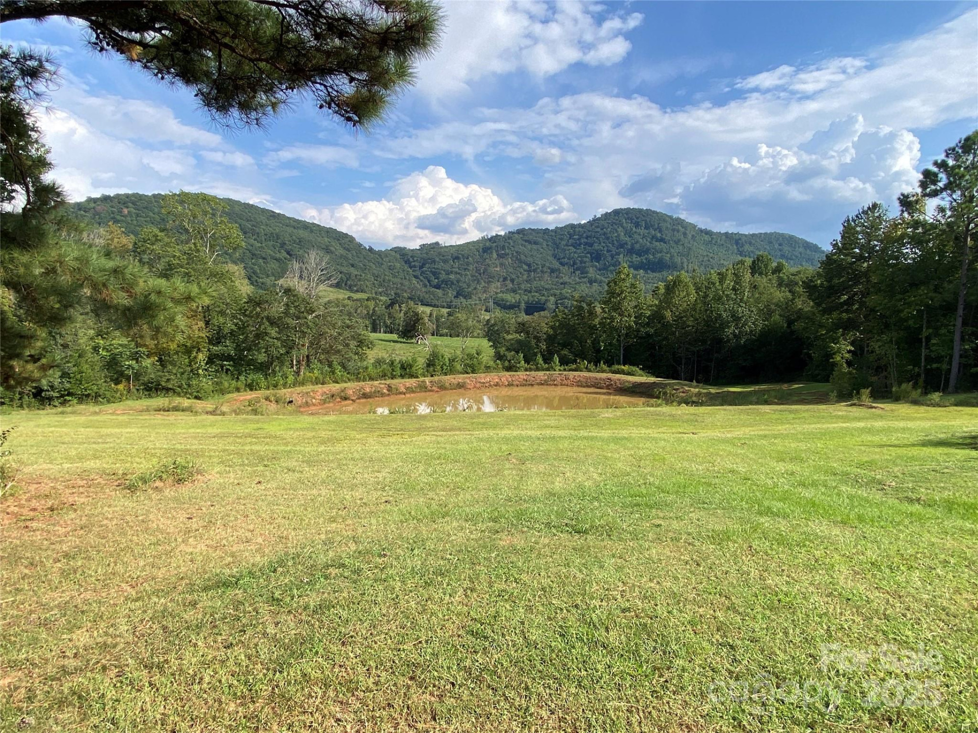 1180 Calton Road - Photo 3