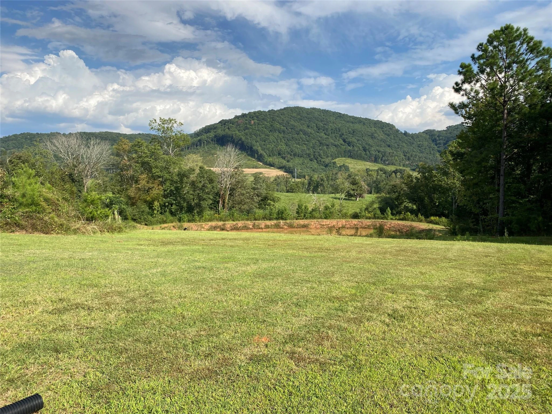 1180 Calton Road - Photo 4