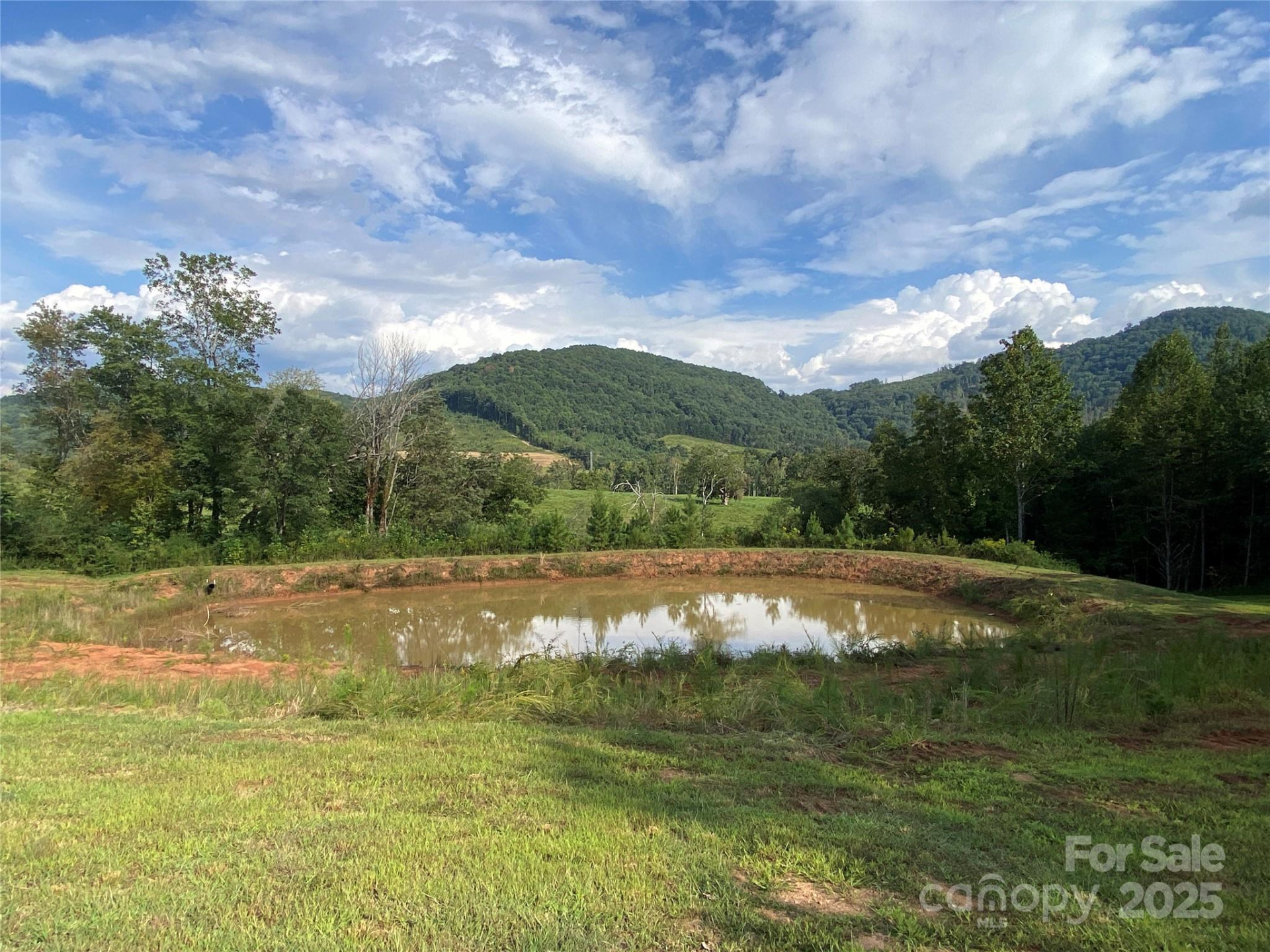 1180 Calton Road - Photo 6