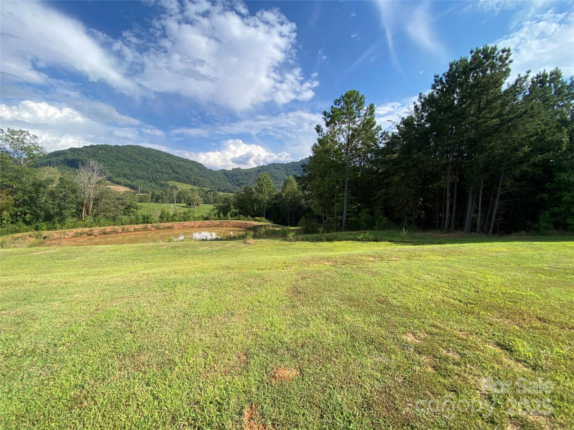 1180 Calton Road - Photo 7