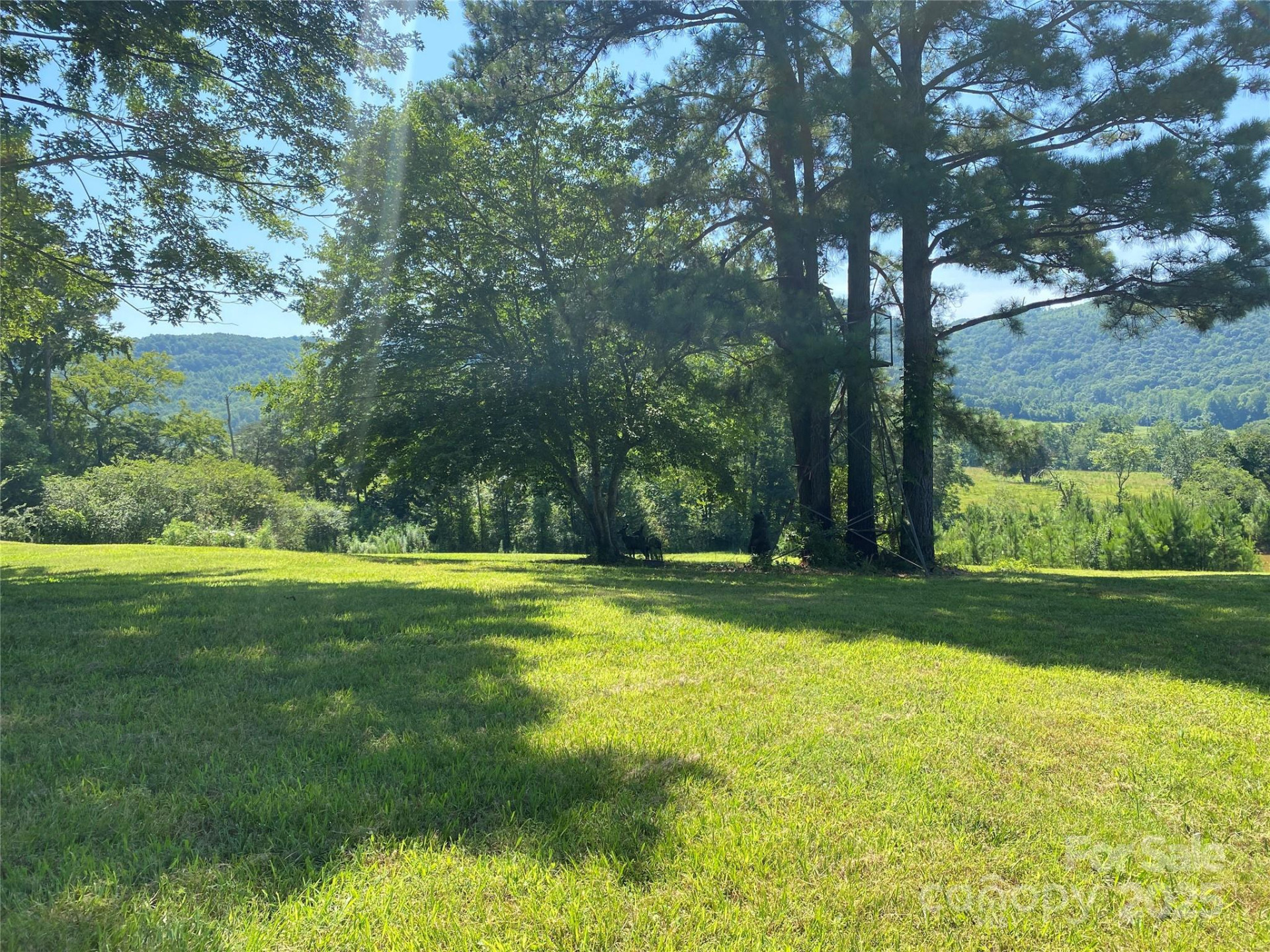 1180 Calton Road - Photo 8