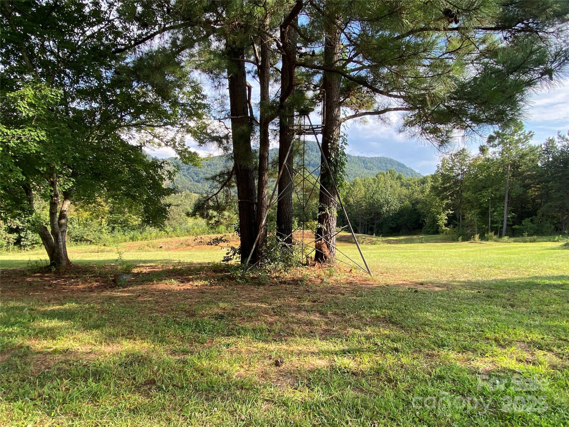 1180 Calton Road - Photo 9