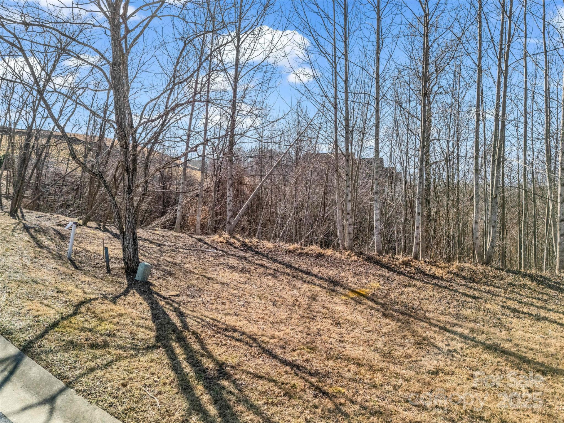 1509 Summit Hill Road - Photo 11