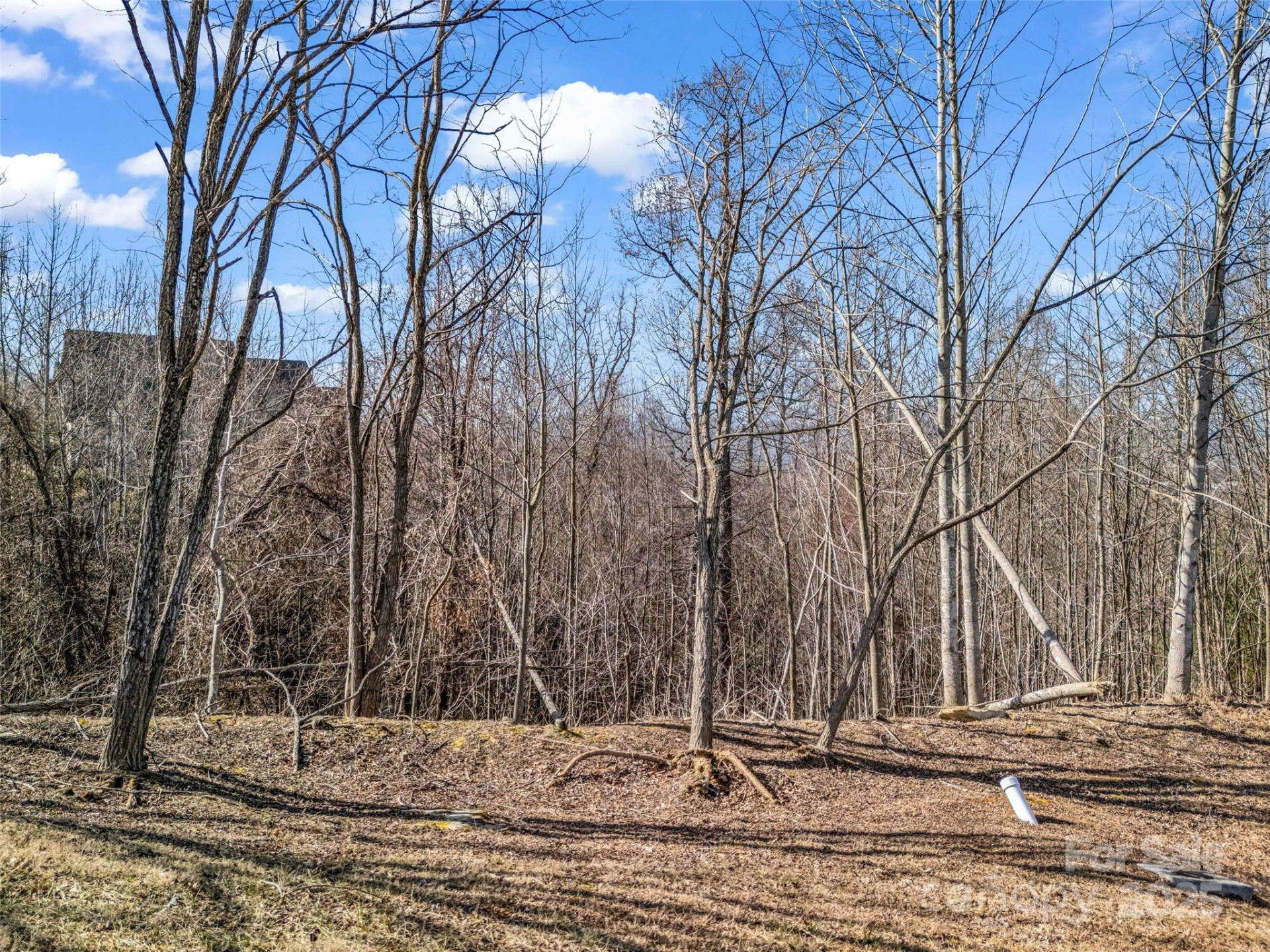 1509 Summit Hill Road - Photo 12