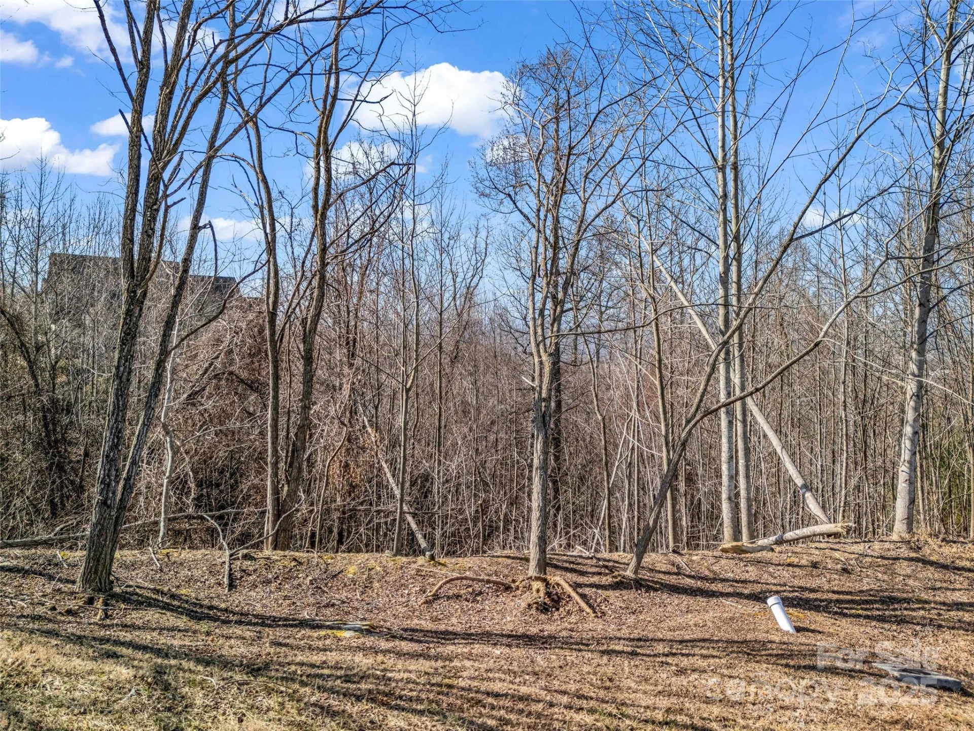1509 Summit Hill Road - Photo 12