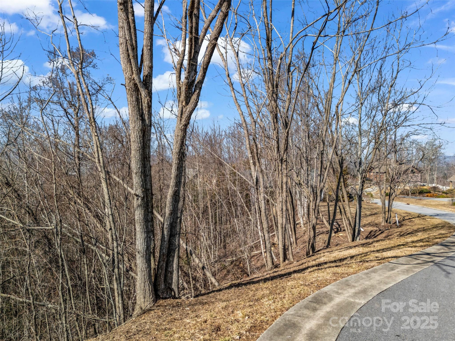 1509 Summit Hill Road - Photo 13