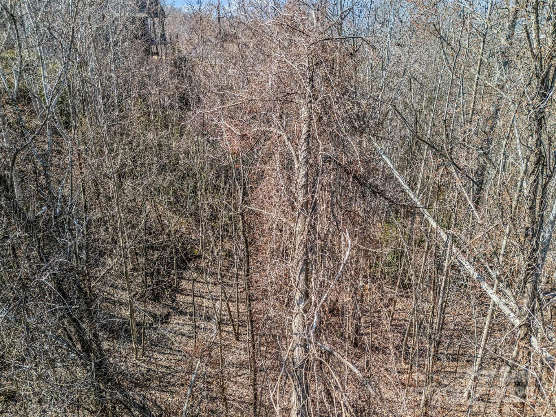 1509 Summit Hill Road - Photo 9