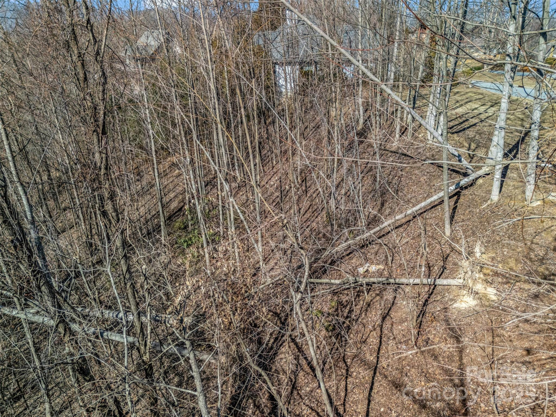 1509 Summit Hill Road - Photo 10