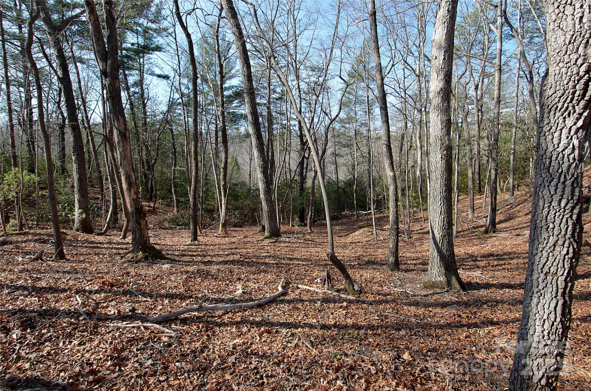 961 Deep Woods Drive