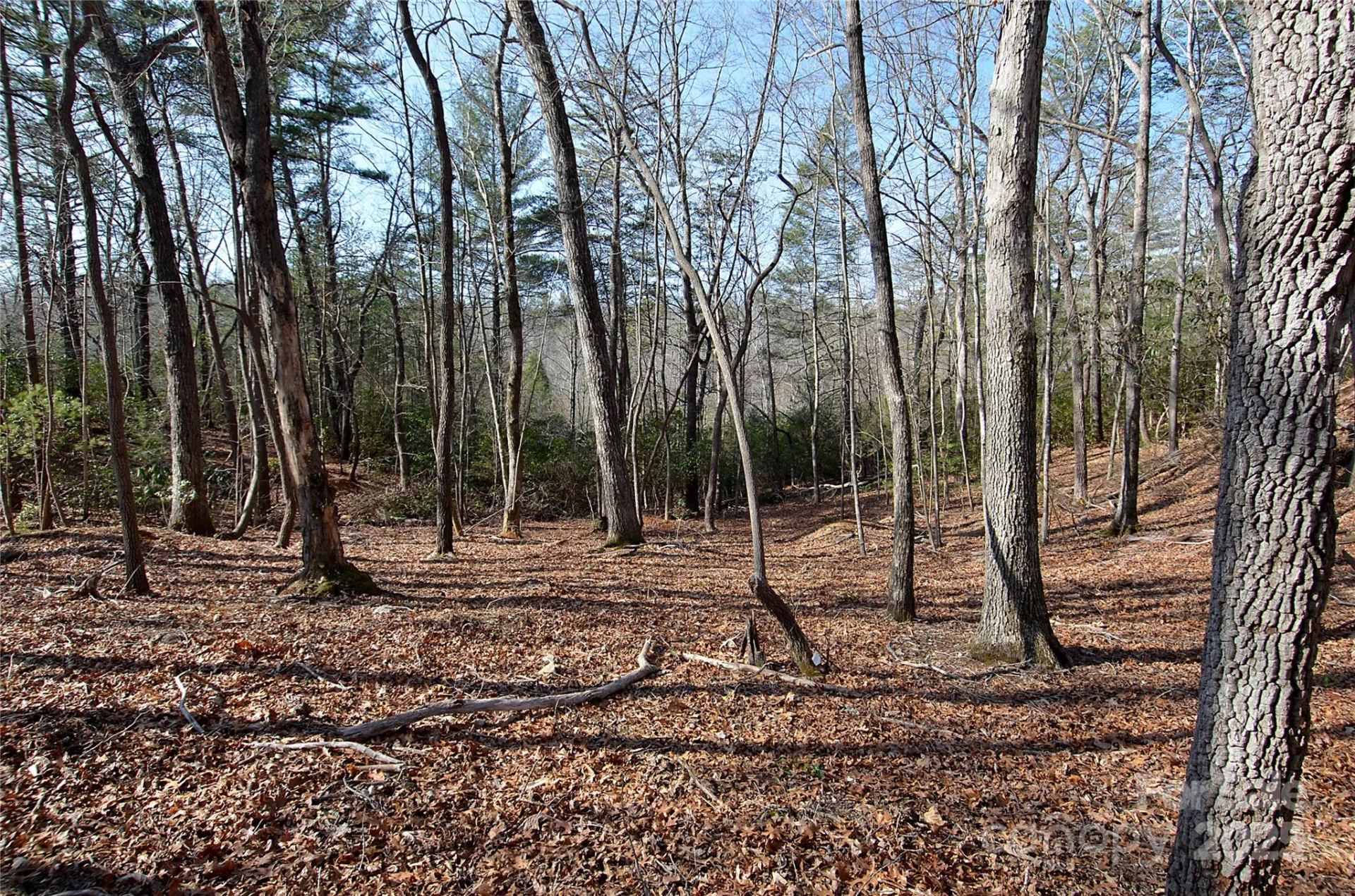 961 Deep Woods Drive