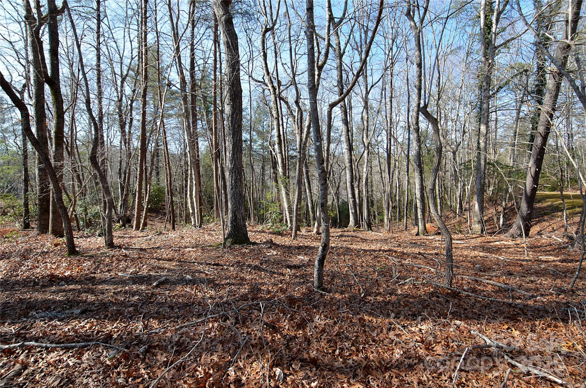 961 Deep Woods Drive - Photo 2