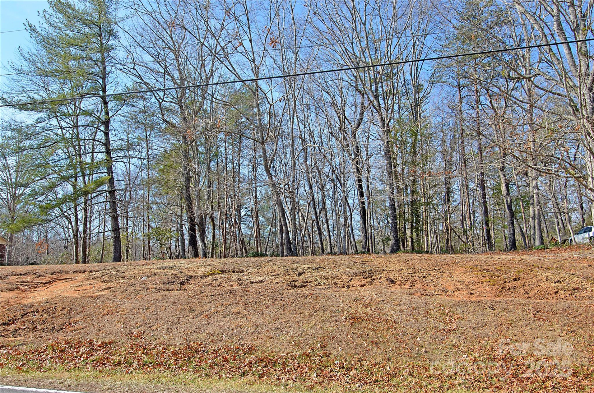 961 Deep Woods Drive - Photo 4