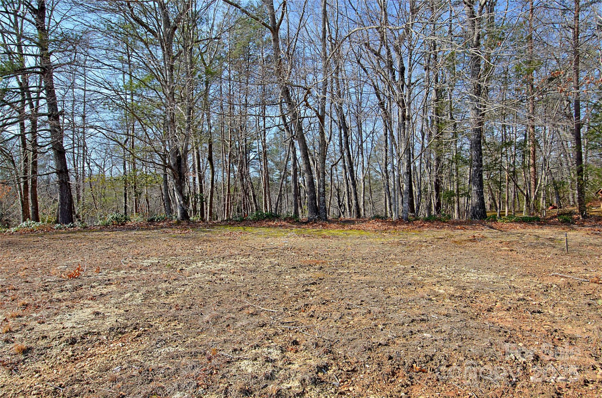 961 Deep Woods Drive - Photo 6