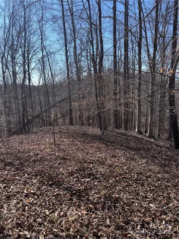 0 Cross Creek Drive