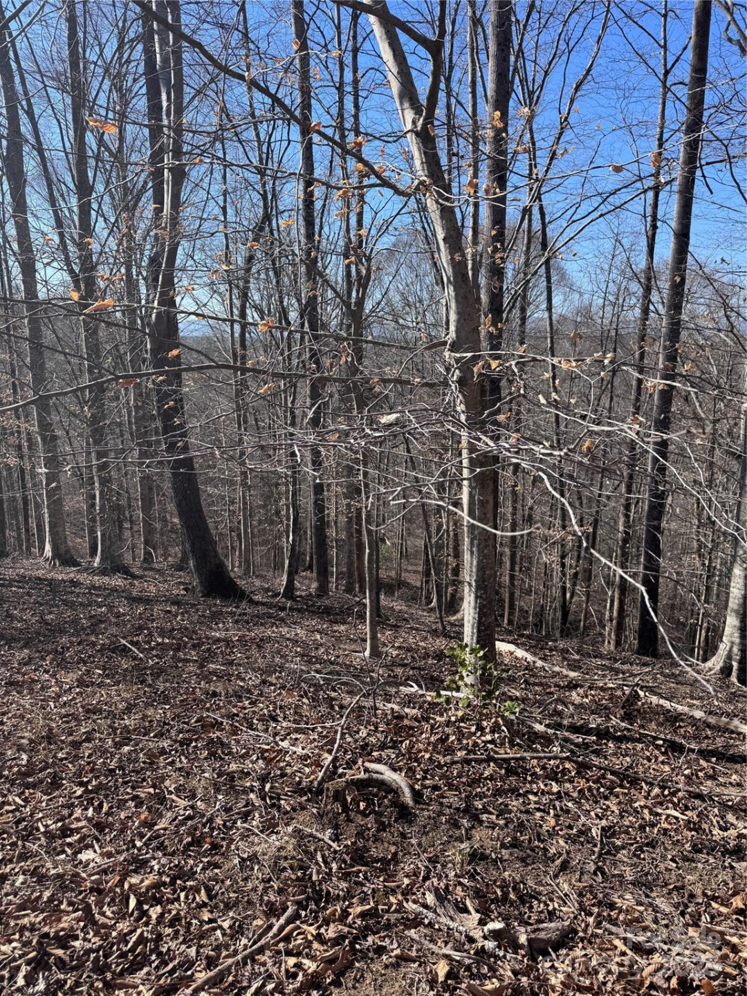 0 Cross Creek Drive #136A - Photo 2