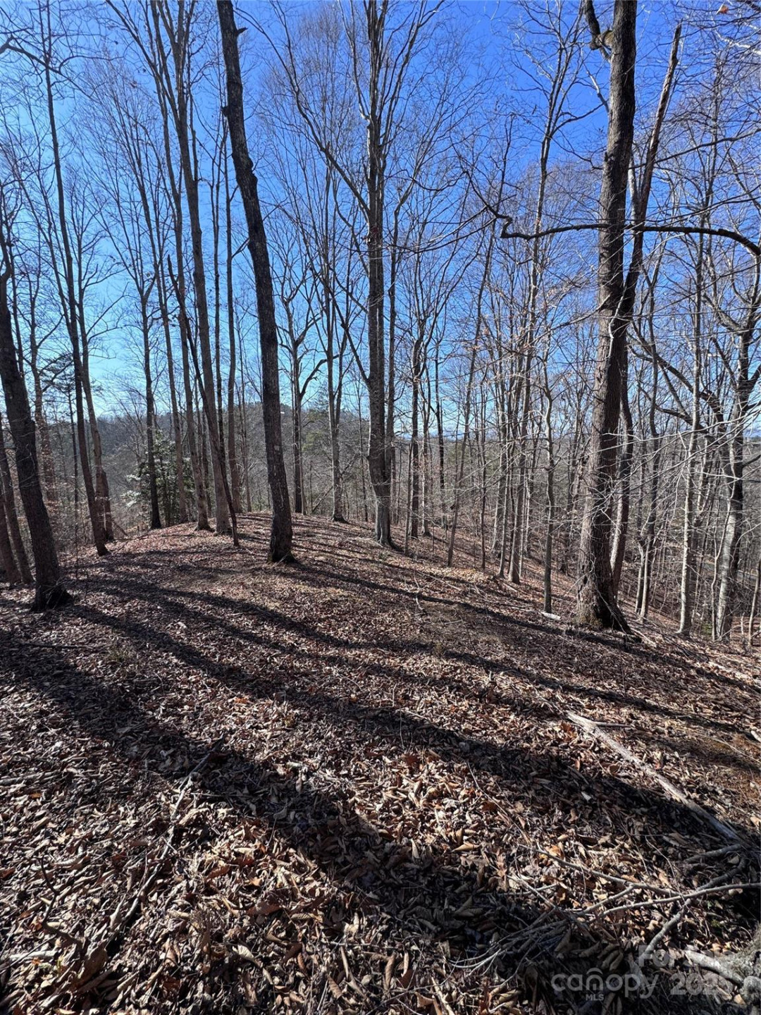 0 Cross Creek Drive #136A - Photo 11