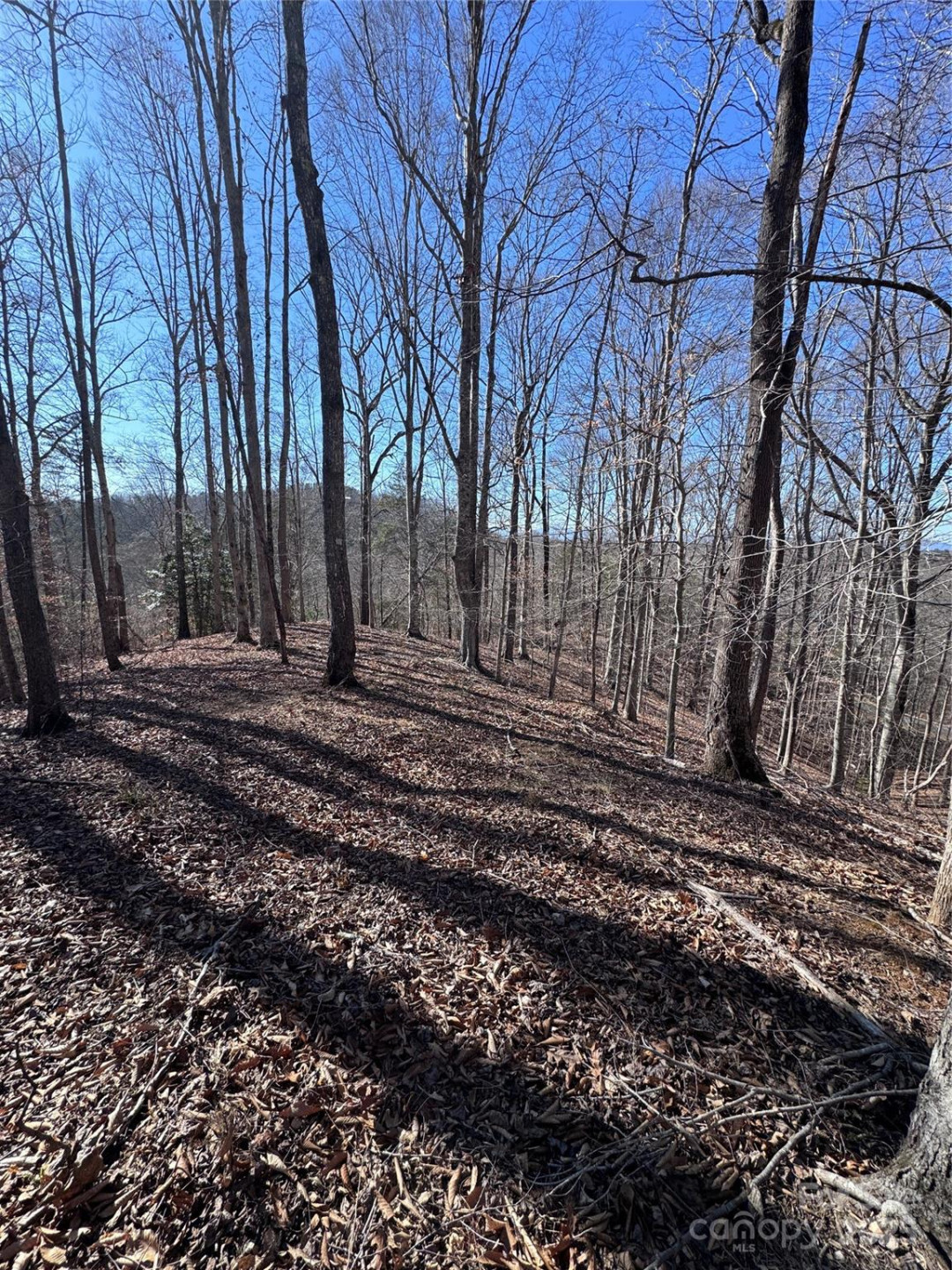 0 Cross Creek Drive #136A - Photo 12