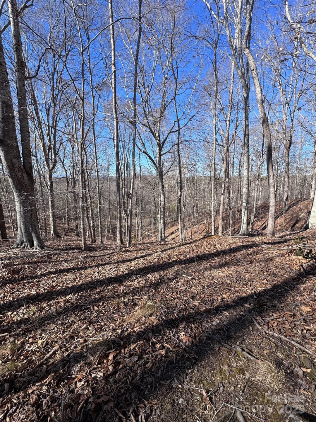 0 Cross Creek Drive #136A - Photo 13