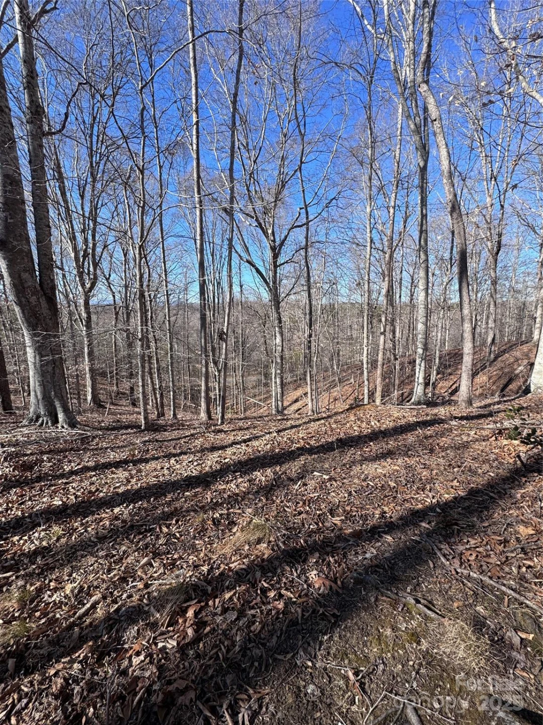 0 Cross Creek Drive #136A - Photo 13