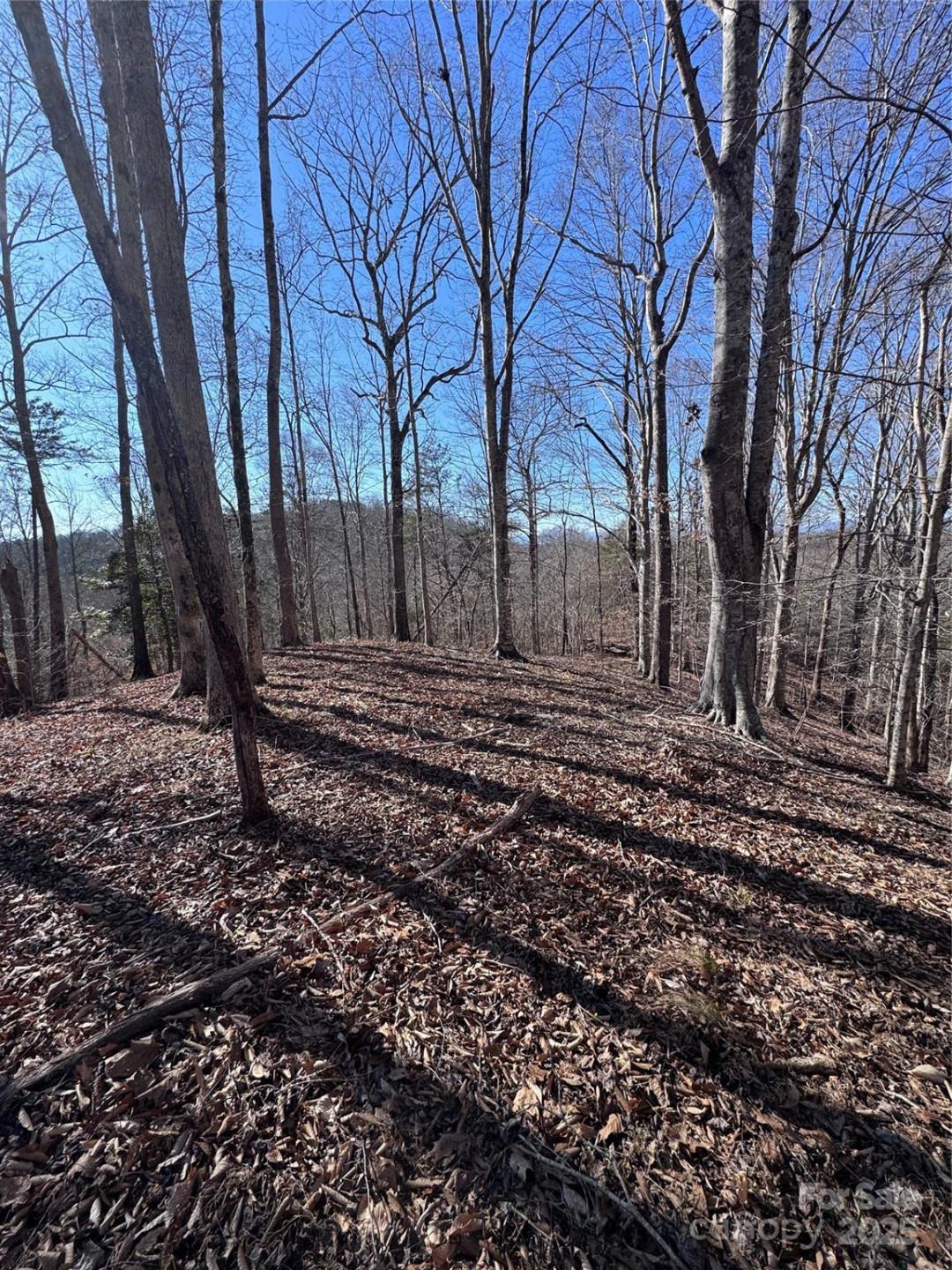 0 Cross Creek Drive #136A - Photo 14