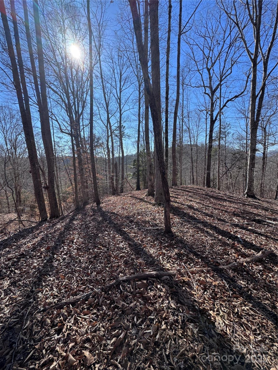 0 Cross Creek Drive #136A - Photo 15