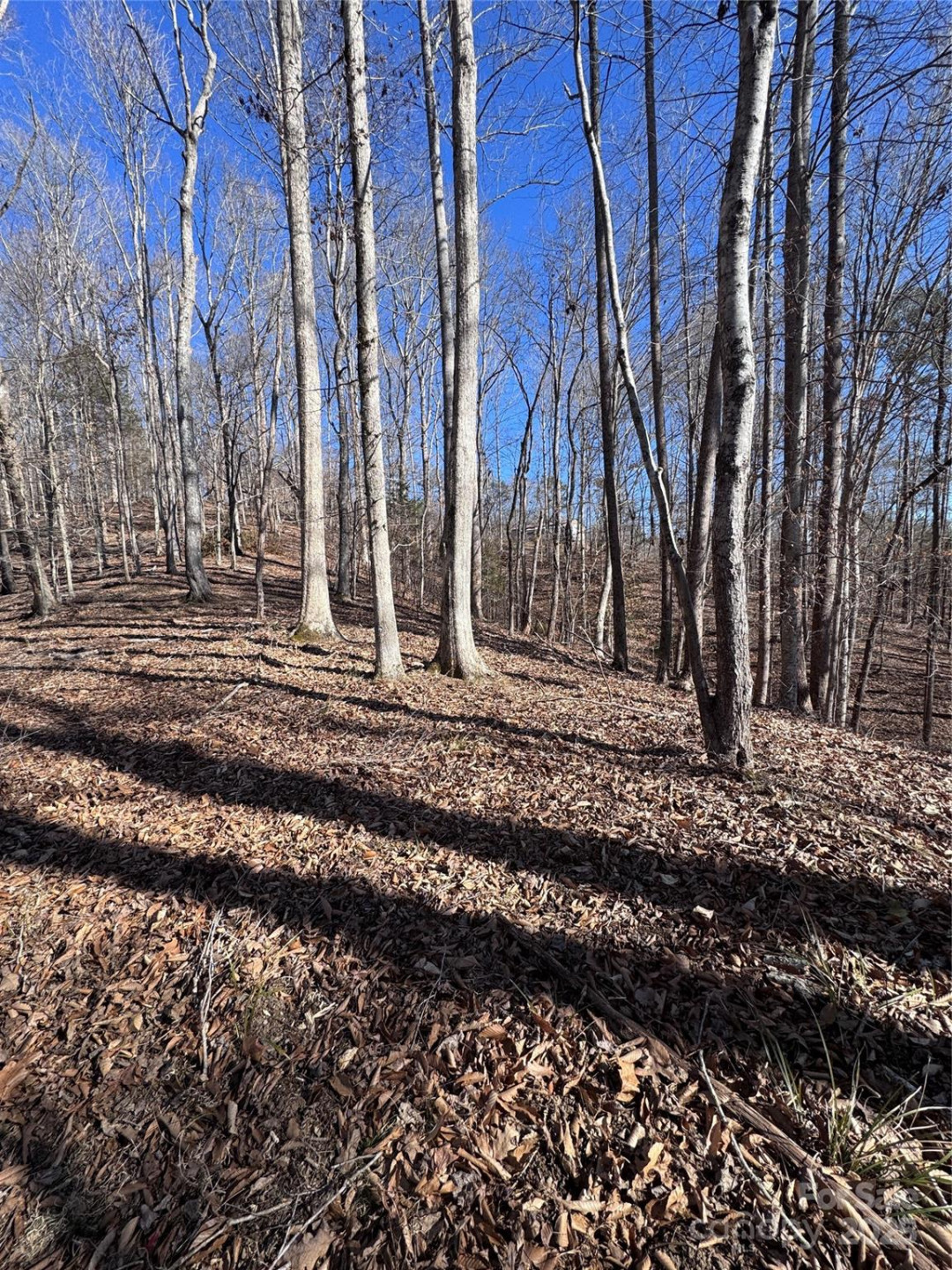 0 Cross Creek Drive #136A - Photo 16