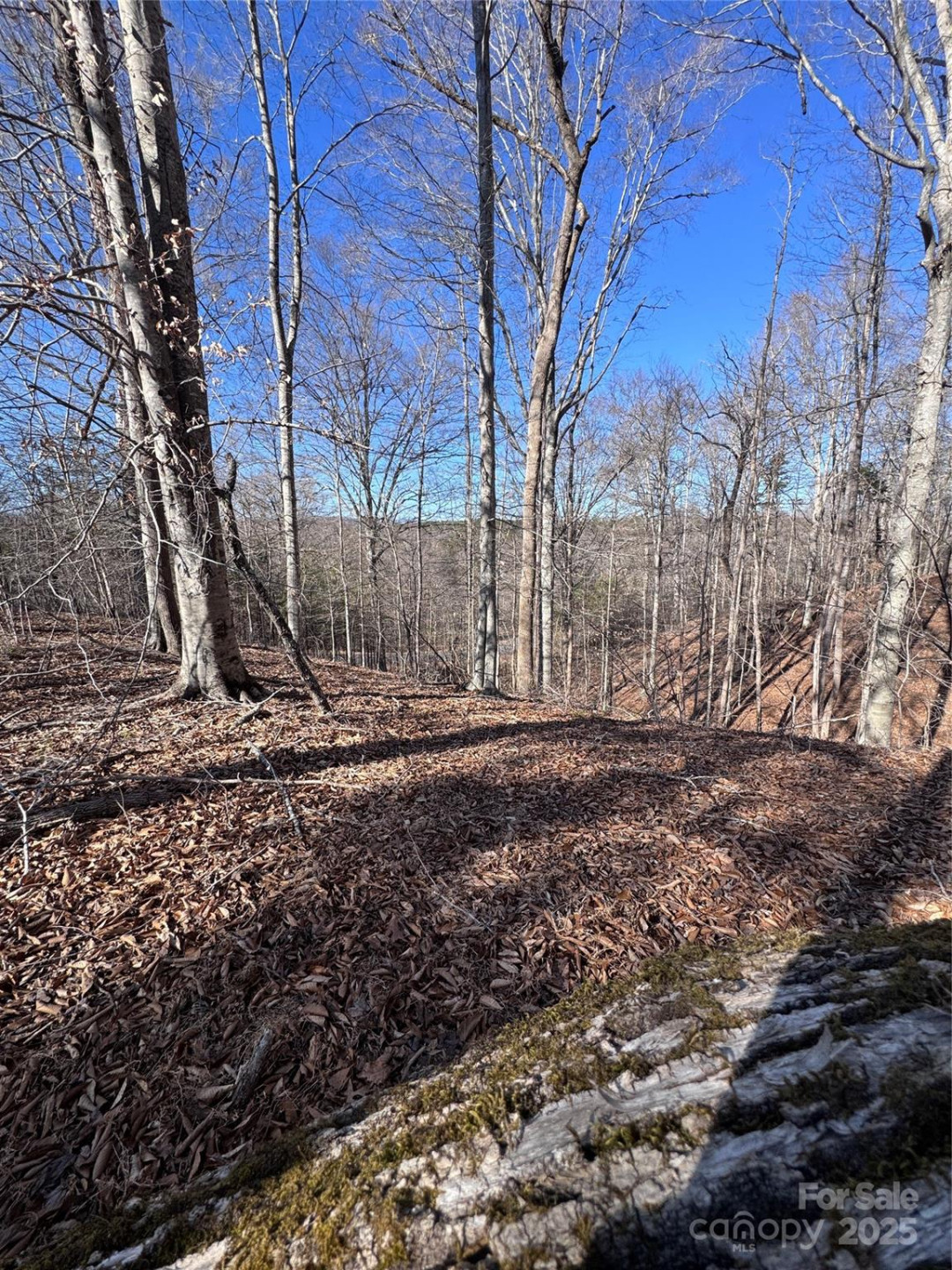 0 Cross Creek Drive #136A - Photo 18