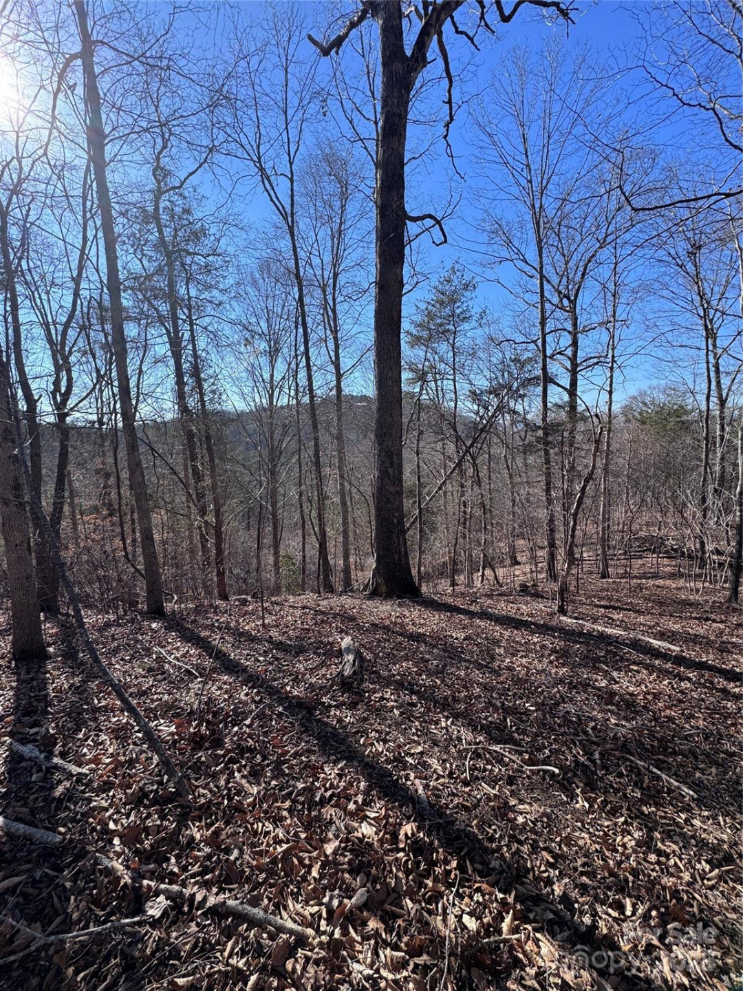 0 Cross Creek Drive #136A - Photo 19