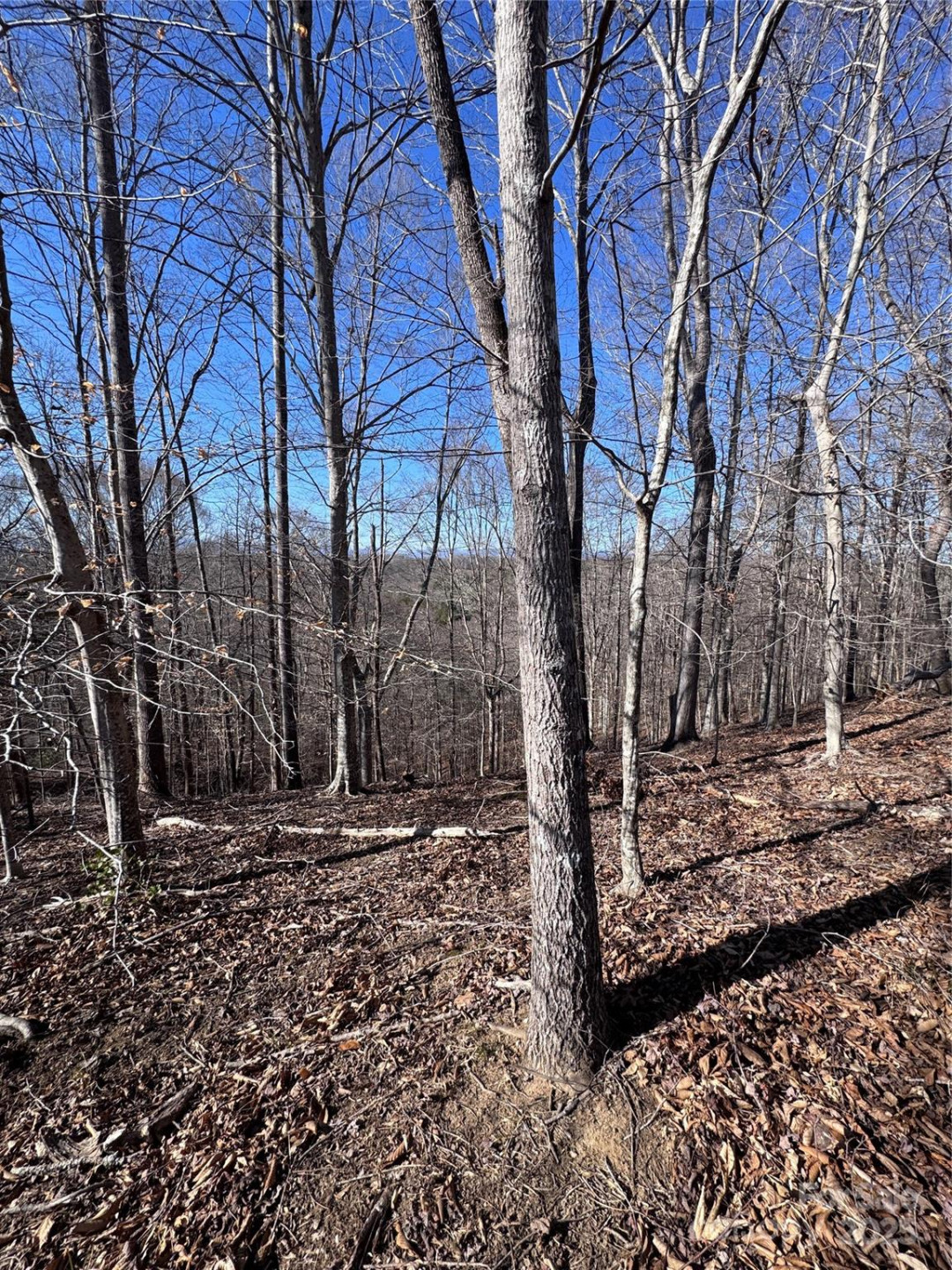 0 Cross Creek Drive #136A - Photo 3