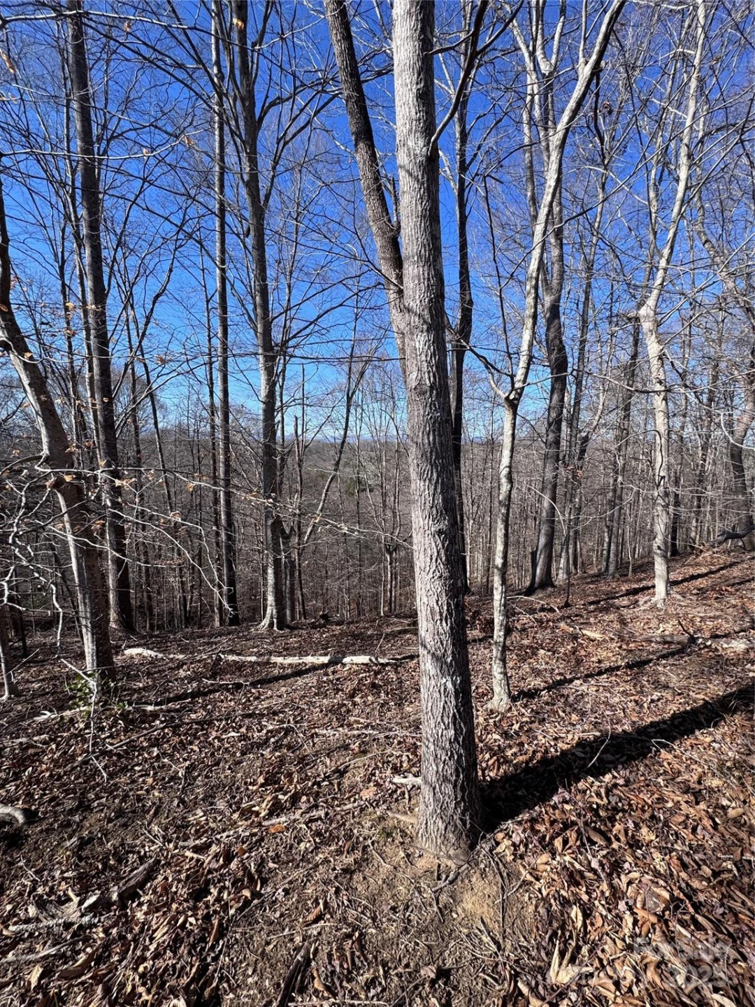 0 Cross Creek Drive #136A - Photo 3