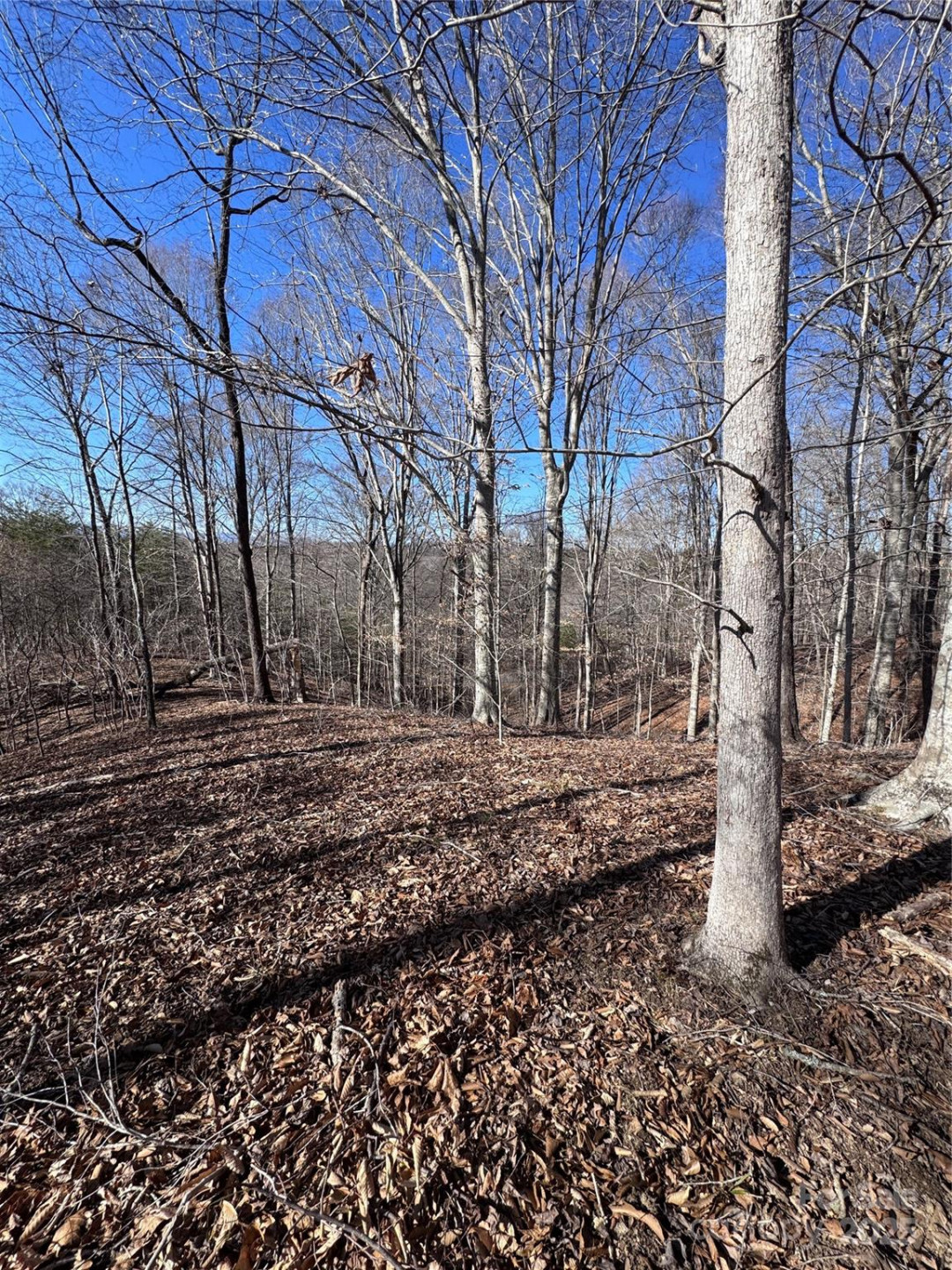 0 Cross Creek Drive #136A - Photo 21