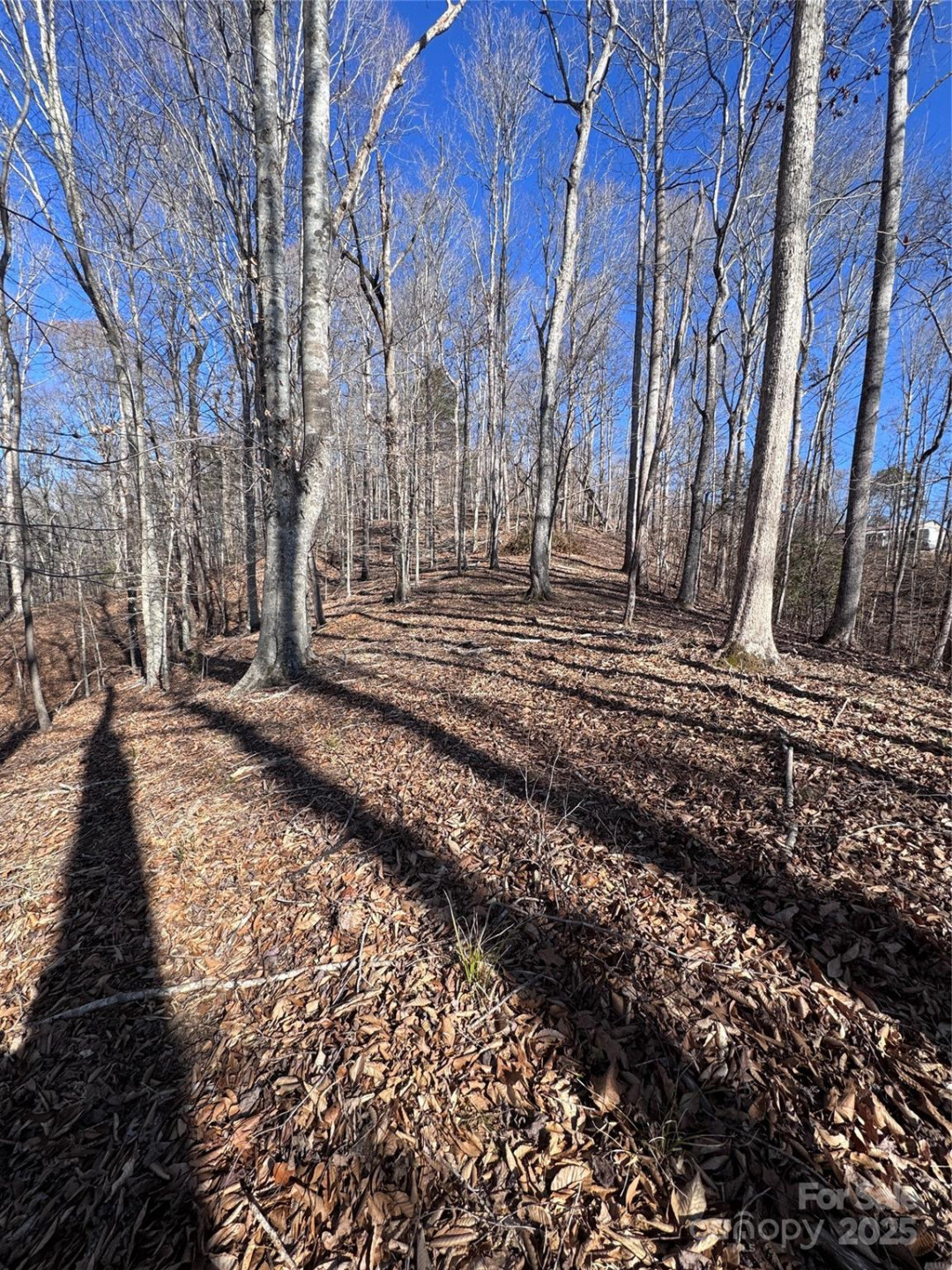 0 Cross Creek Drive #136A - Photo 22